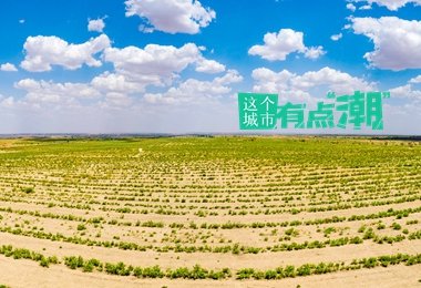 8月26日央行开展2395亿元7天期
